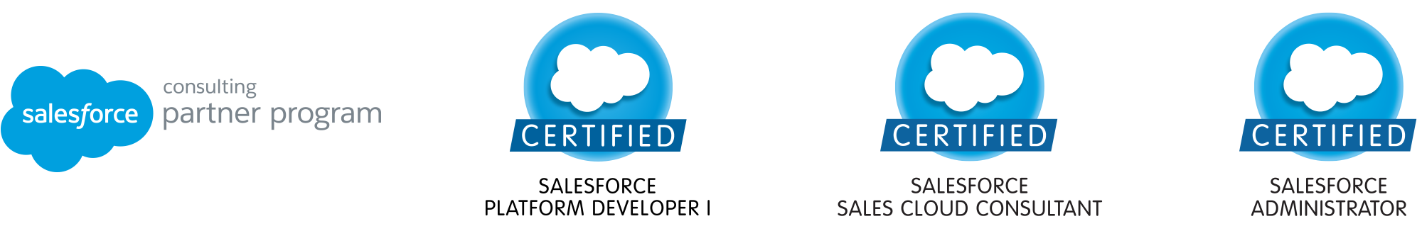 Salesforce Certified Sales Cloud Consultants, Administrators, Platform Developers and part of the Salesforce Consulting Partner Program