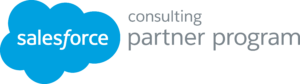 Salesforce Consulting Partner